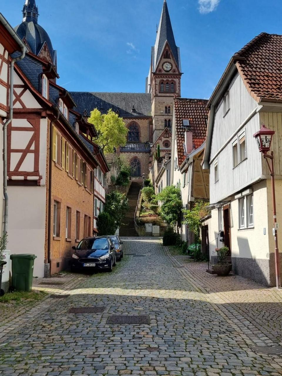 Ferienwohnung Heppenheim An Der Bergstrasse Whg 1 Bagian luar foto