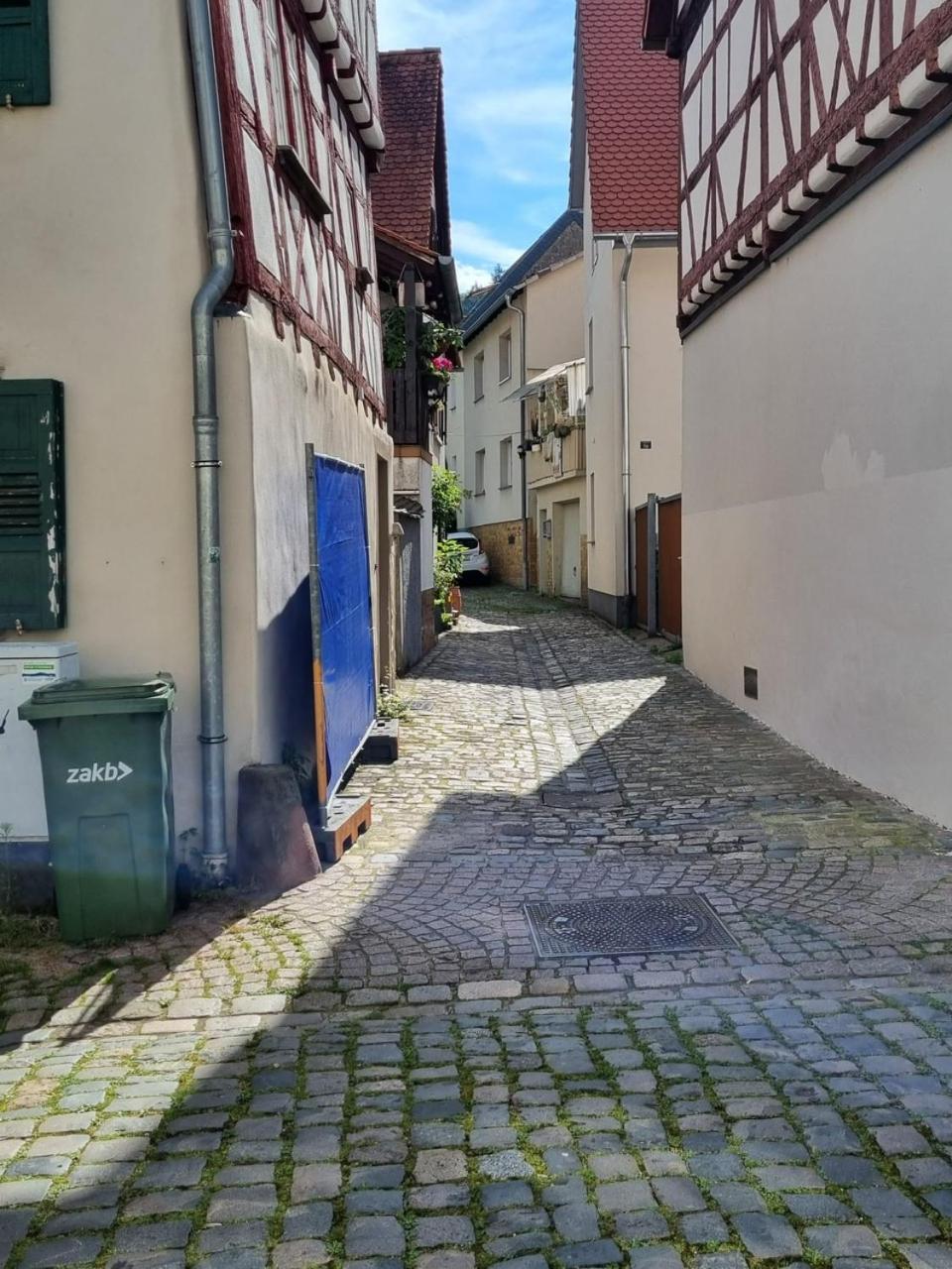 Ferienwohnung Heppenheim An Der Bergstrasse Whg 1 Bagian luar foto